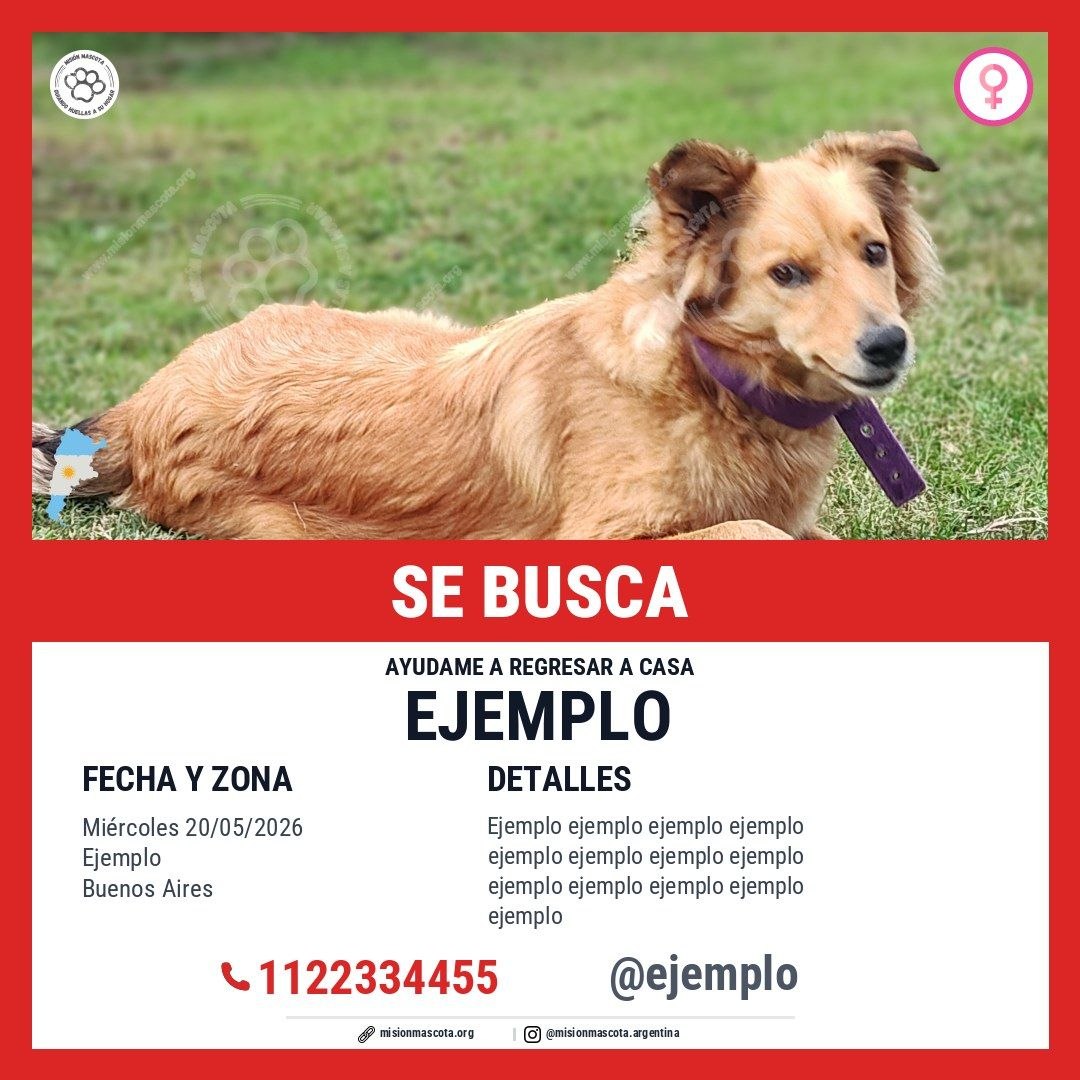 Ejemplo de cartel cuadrado para feed