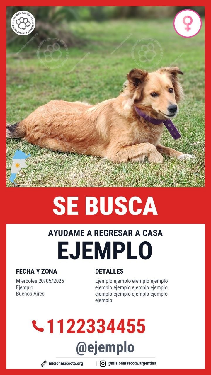 Ejemplo de cartel vertical para historia o reel