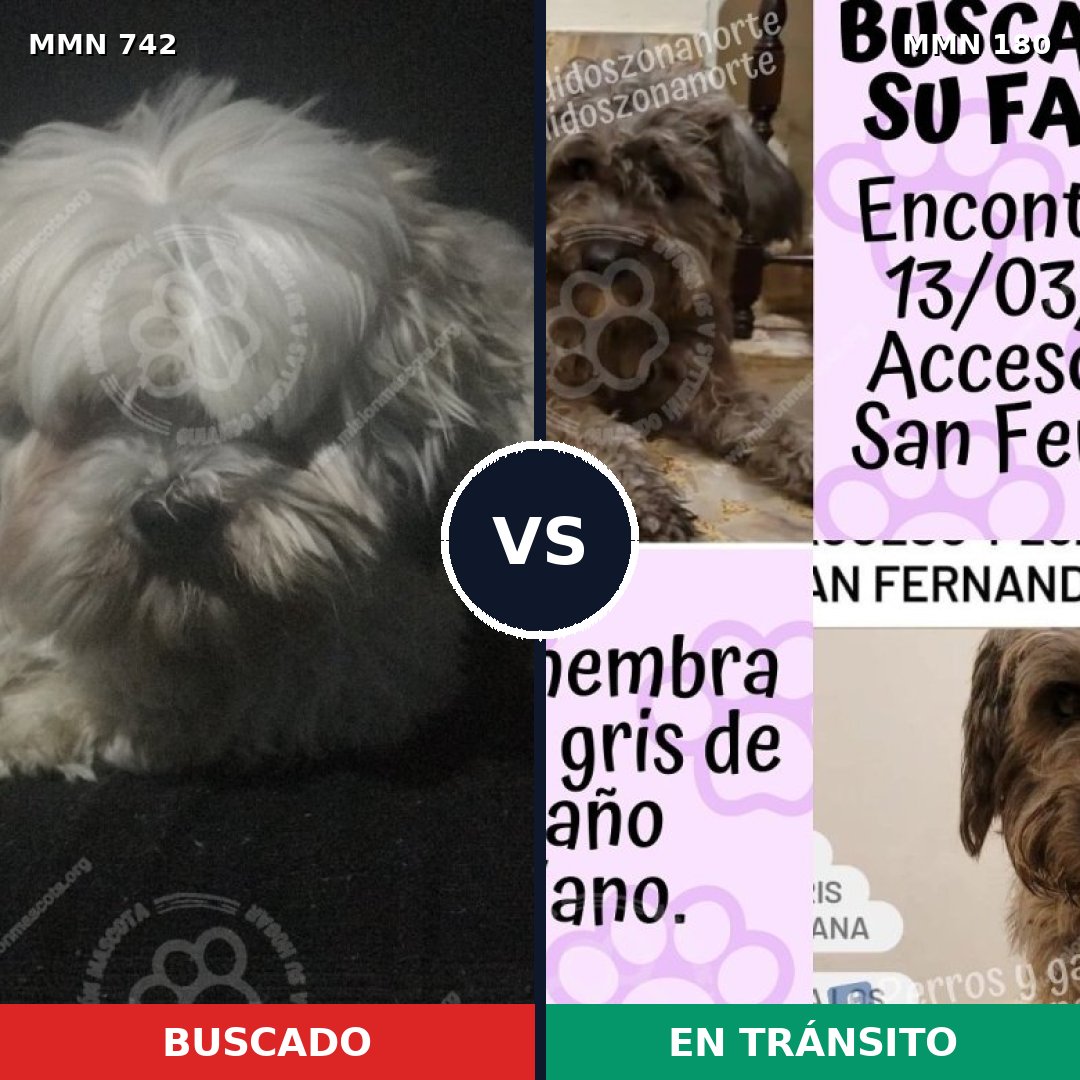 Comparativa MMS 10820: mascota perdida y mascota encontrada, 27% de similitud