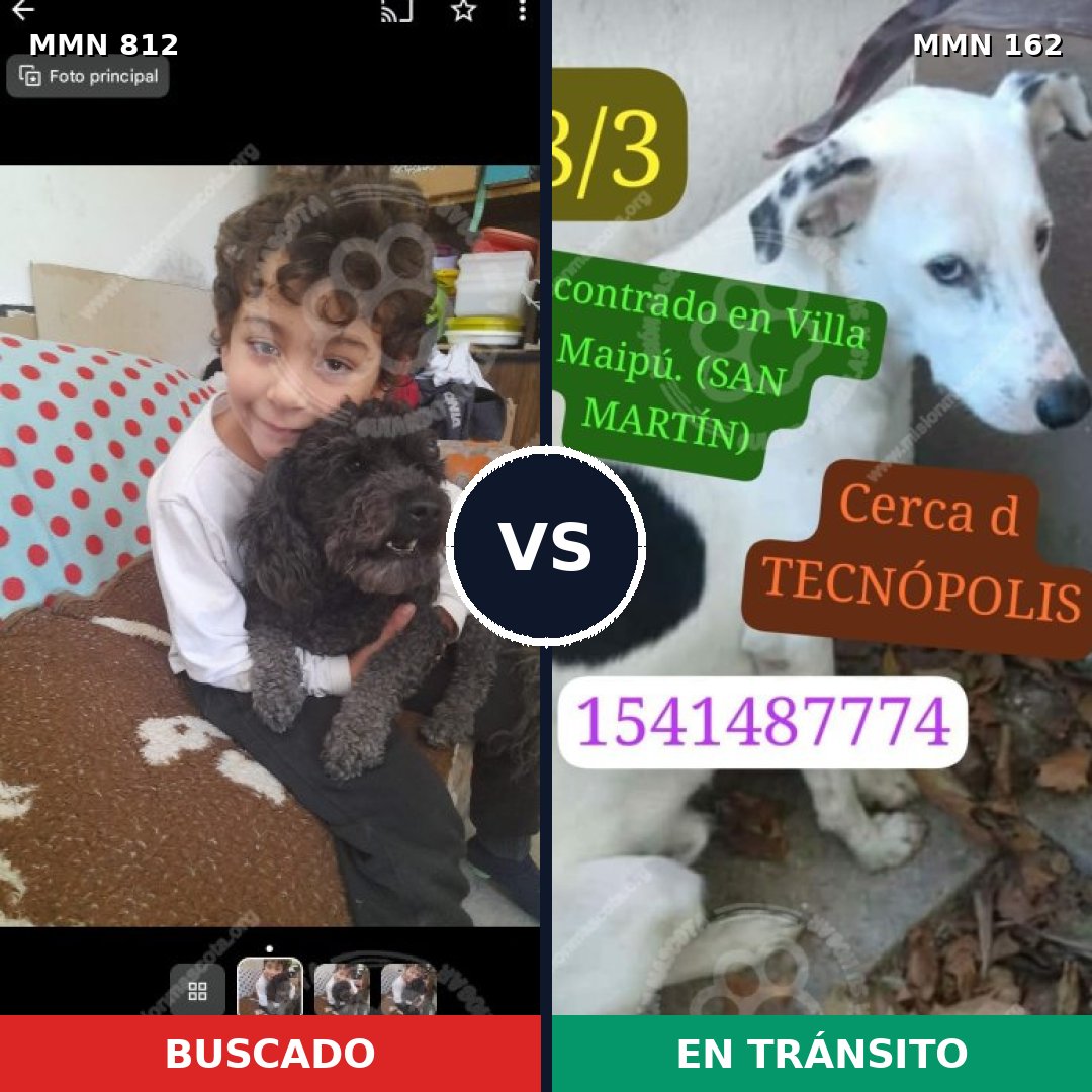Comparativa MMS 13976: mascota perdida y mascota encontrada, 23% de similitud