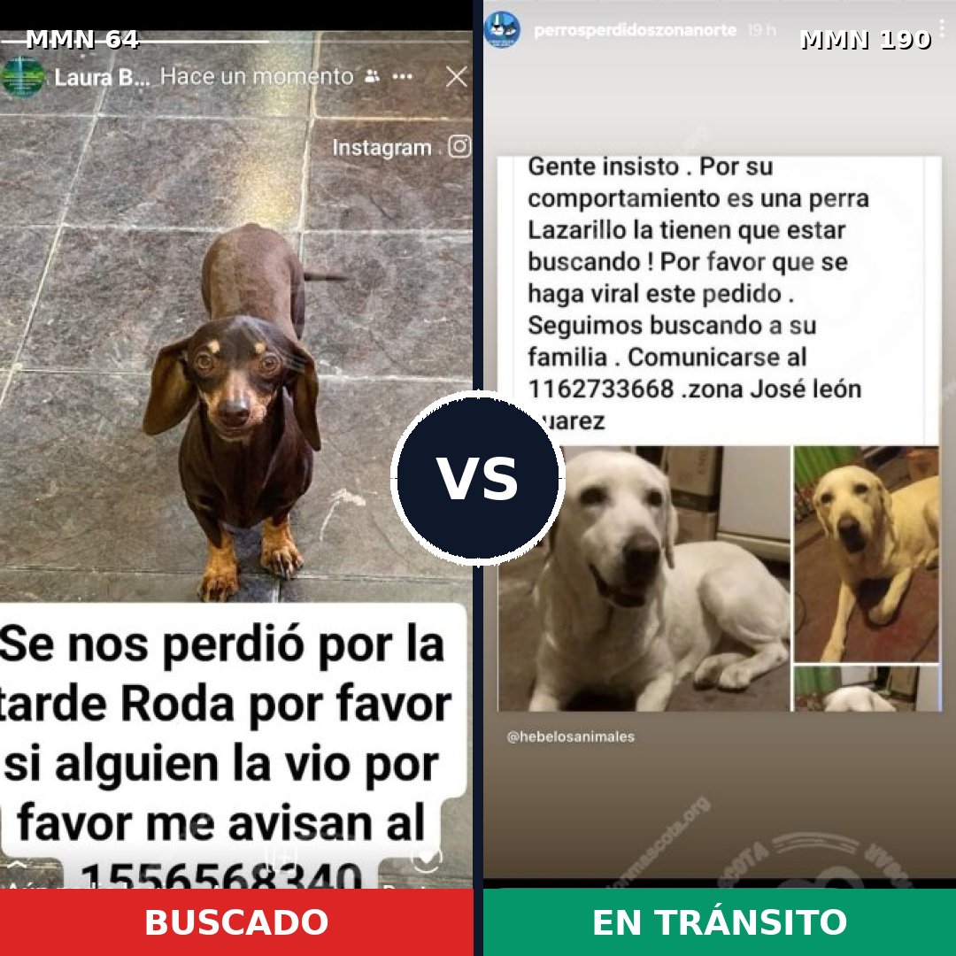 Comparativa MMS 2323: mascota perdida y mascota encontrada, 25% de similitud