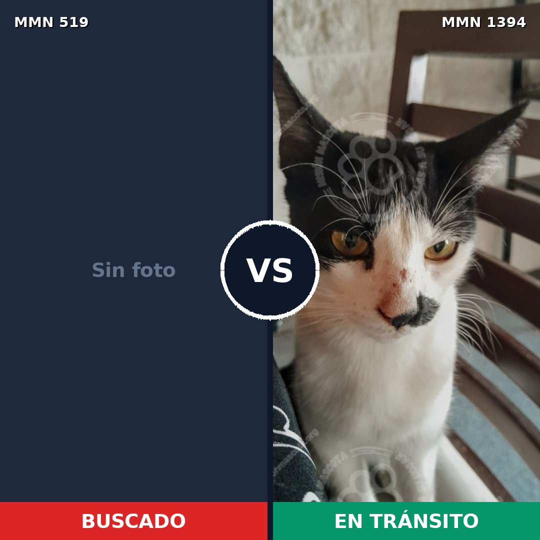 Comparativa MMS 24130: mascota perdida y mascota encontrada, 34% de similitud