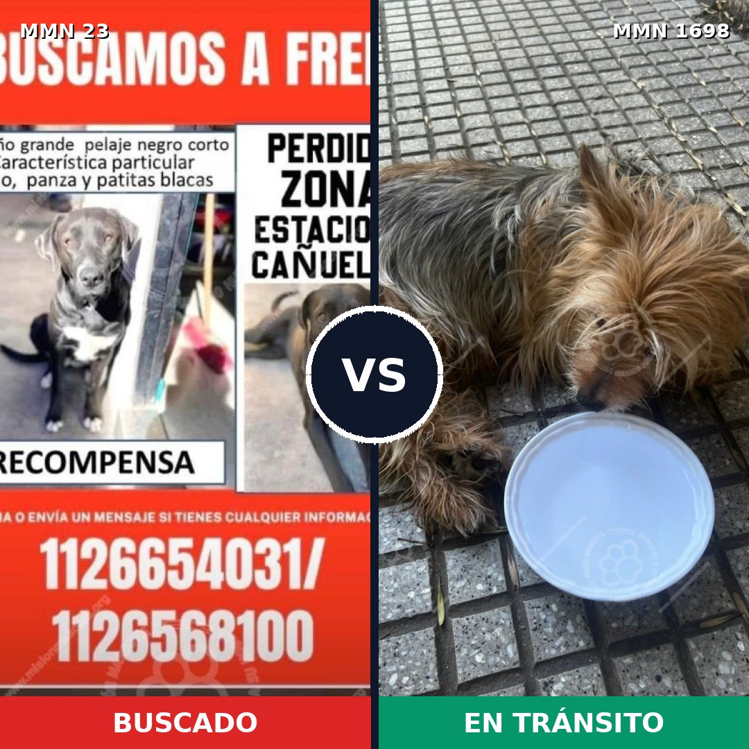 Comparativa MMS 37098: mascota perdida y mascota encontrada, 25% de similitud