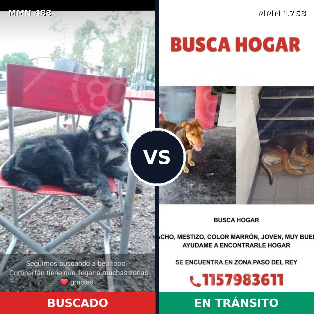 Comparativa MMS 39107: mascota perdida y mascota encontrada, 58% de similitud