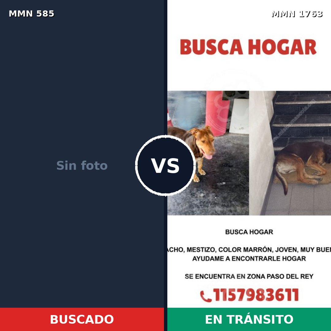 Comparativa MMS 39117: mascota perdida y mascota encontrada, 42% de similitud