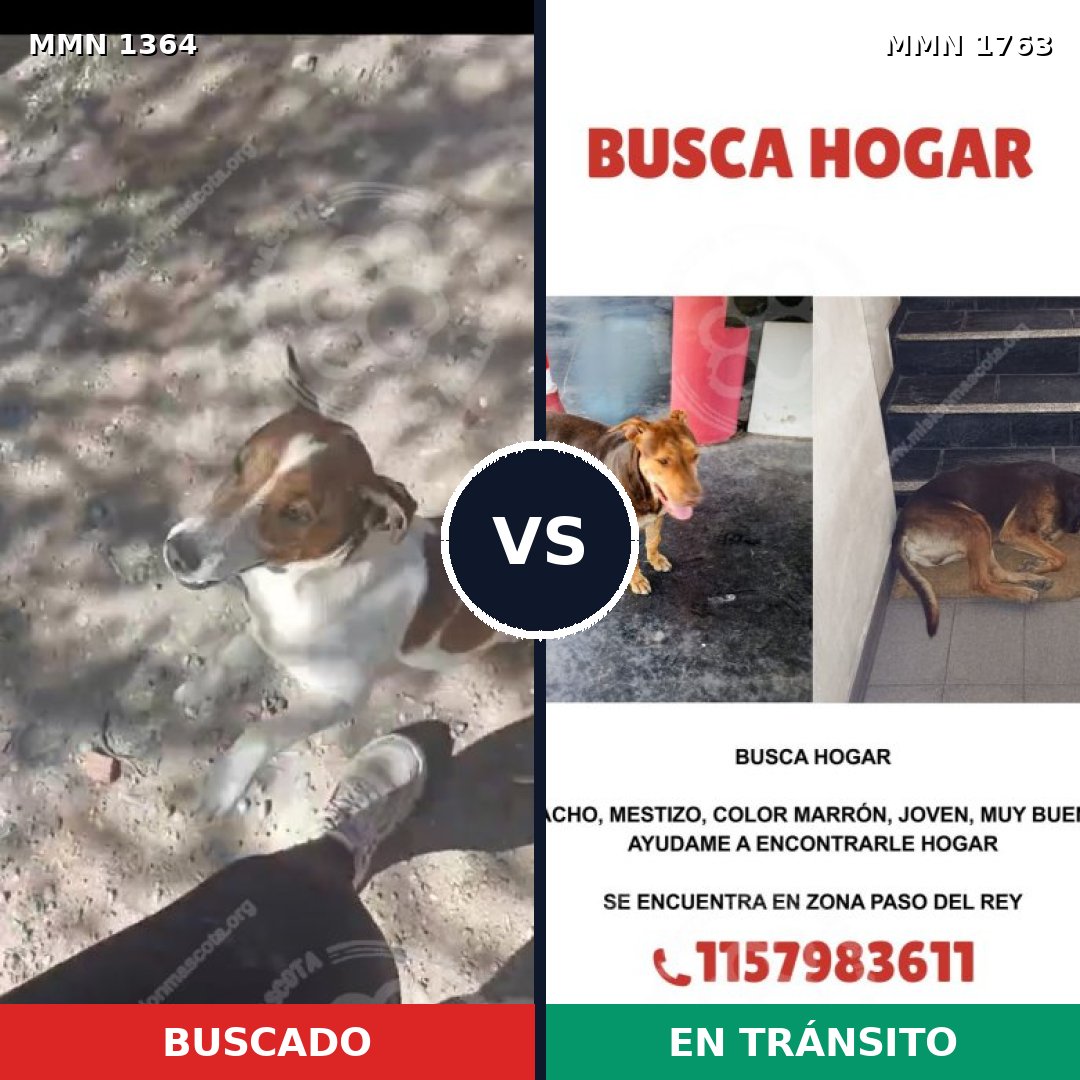 Comparativa MMS 39218: mascota perdida y mascota encontrada, 25% de similitud