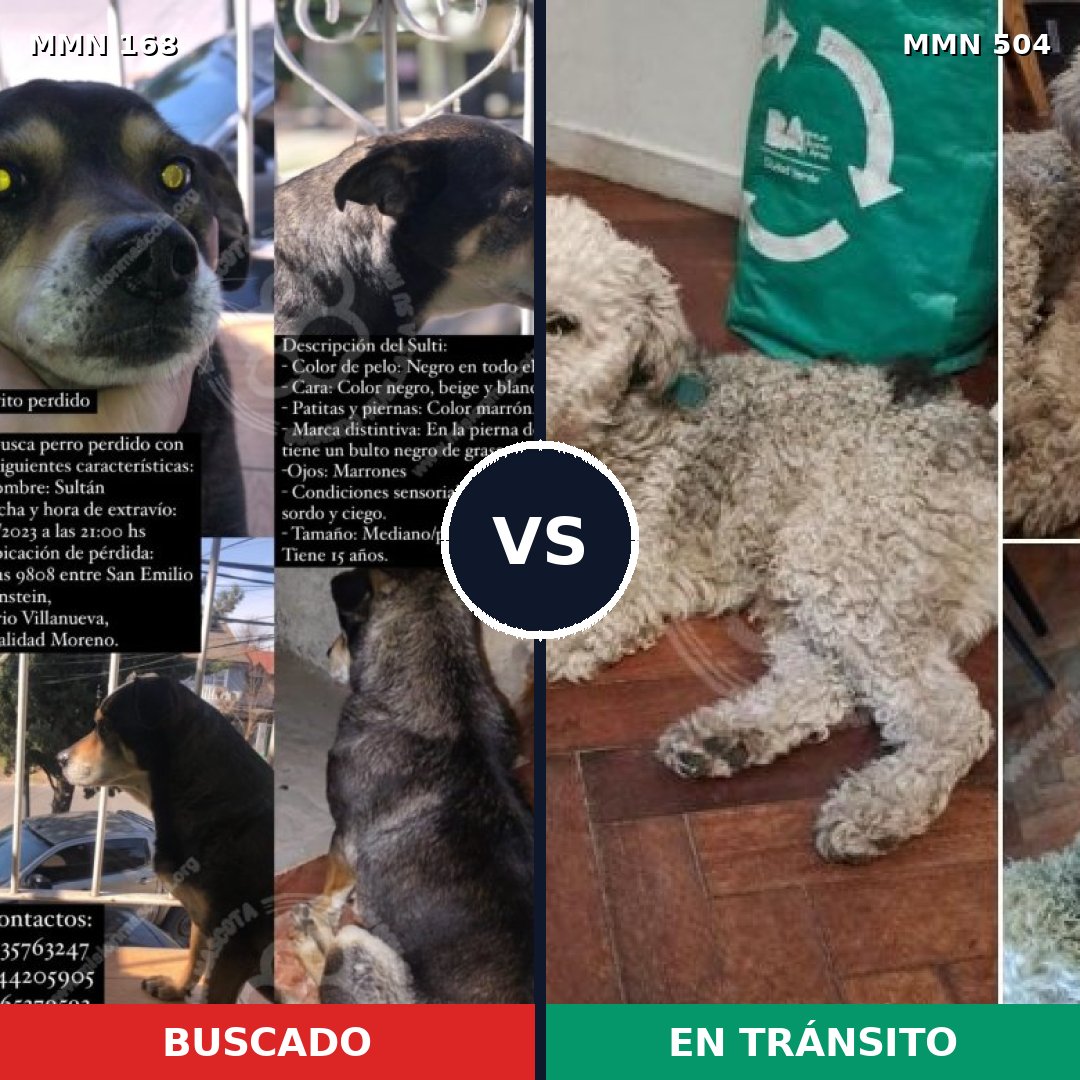 Comparativa MMS 4320: mascota perdida y mascota encontrada, 63% de similitud