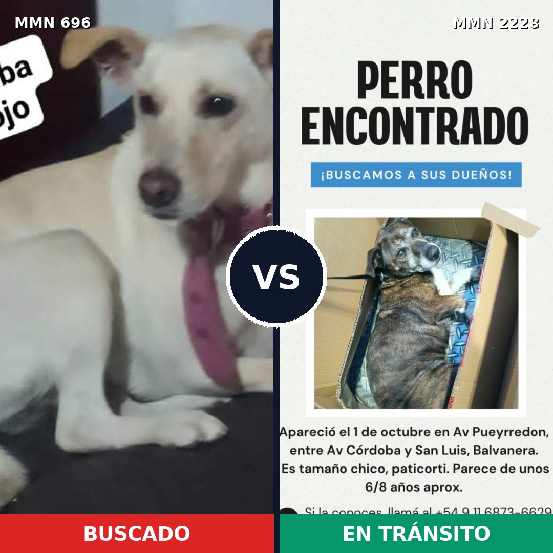 Comparativa MMS 66575: mascota perdida y mascota encontrada, 36% de similitud