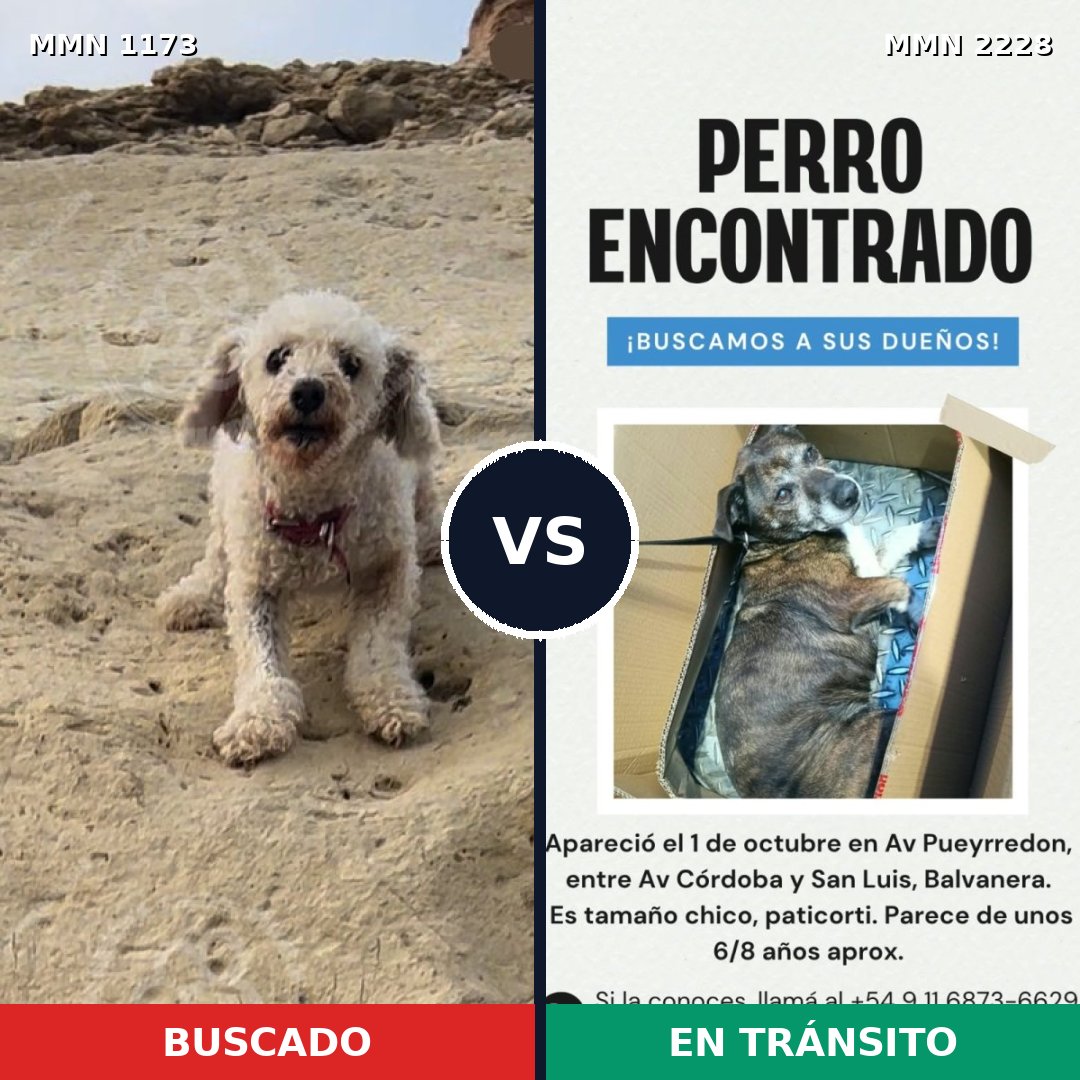 Comparativa MMS 66640: mascota perdida y mascota encontrada, 34% de similitud