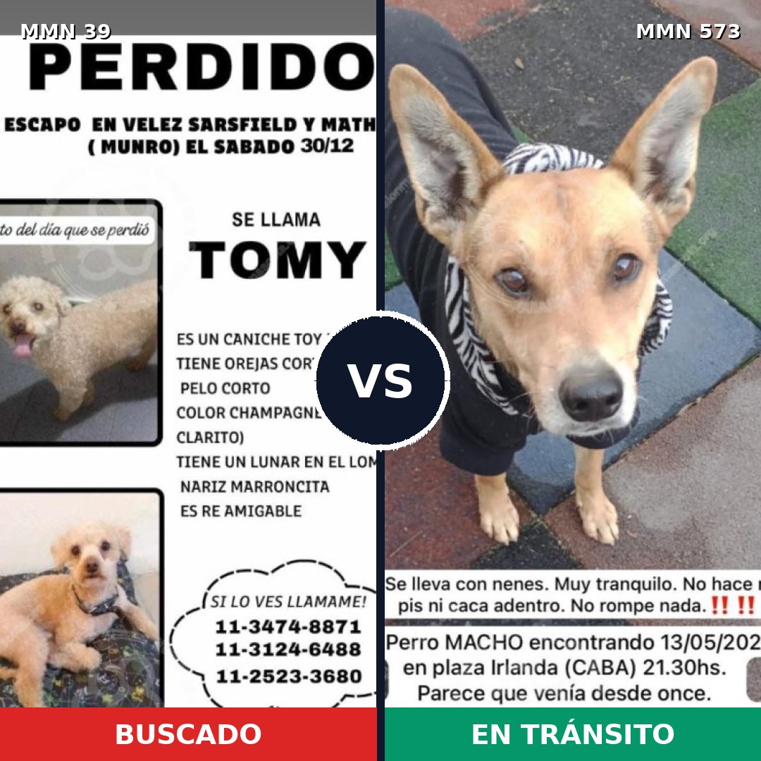 Comparativa MMS 83: mascota perdida y mascota encontrada, 27% de similitud