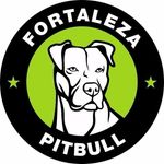 Perfil de Instagram de fortalezapitbull