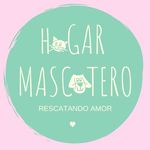 Perfil de Instagram de hogar_mascotero