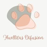 Perfil de Instagram de huellitasdifusion_