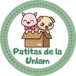 Perfil de Instagram de patitasdelaunlam