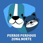 Perfil de Instagram de perrosperdidoszonanorte