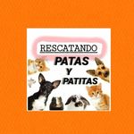 Perfil de Instagram de rescatandopatasypatitas