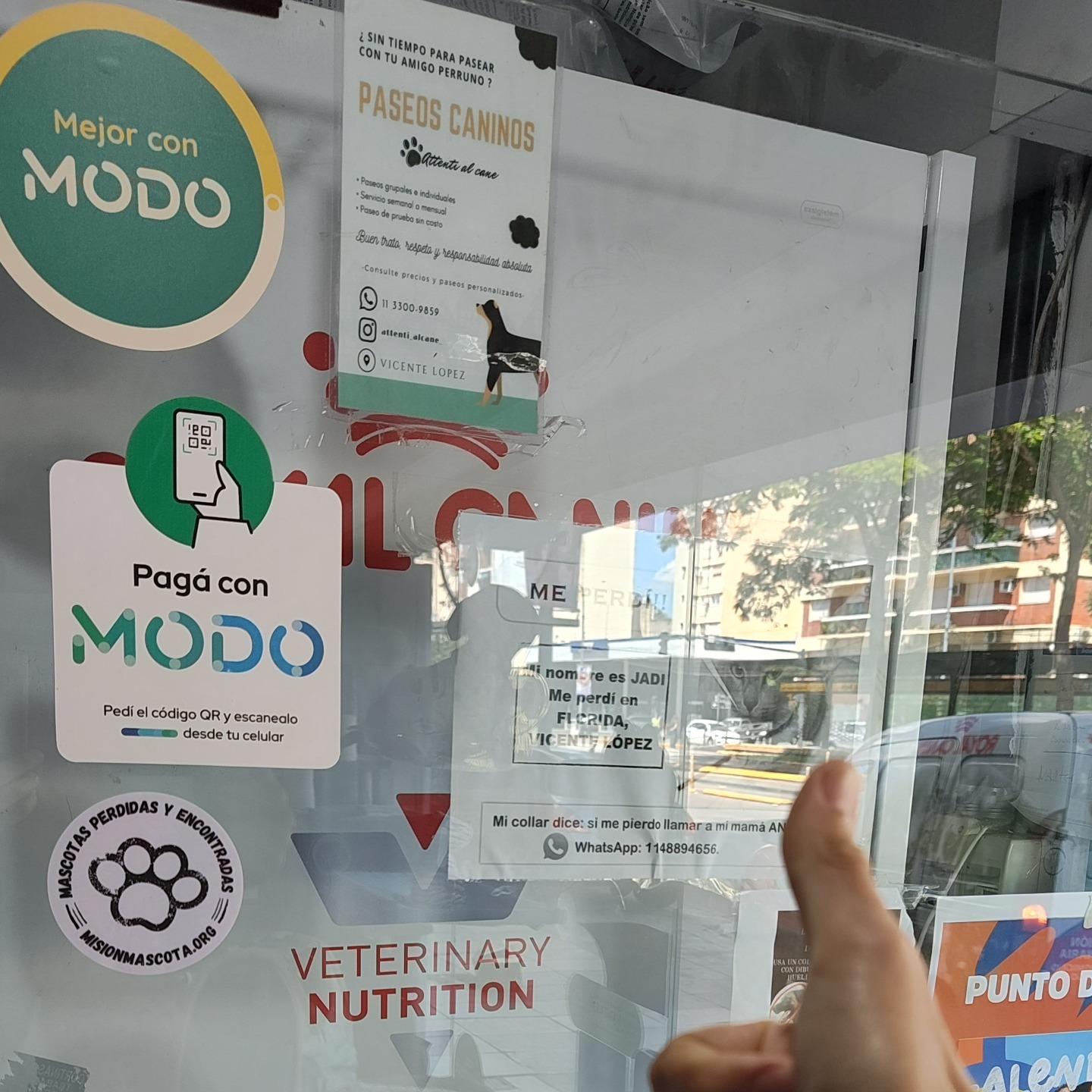 Calco adhesiva Misión Mascota