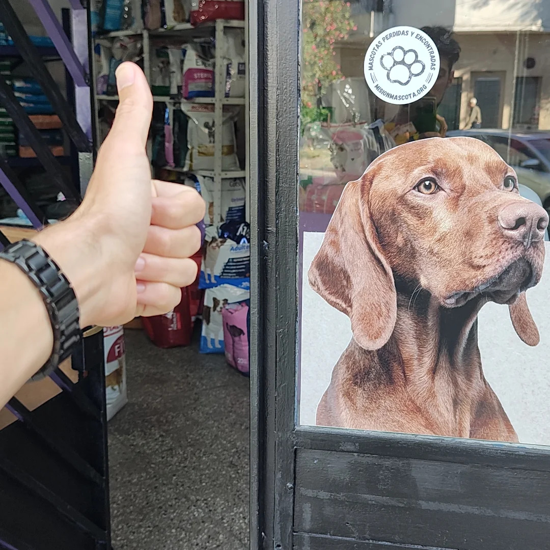 Calco adhesiva Misión Mascota