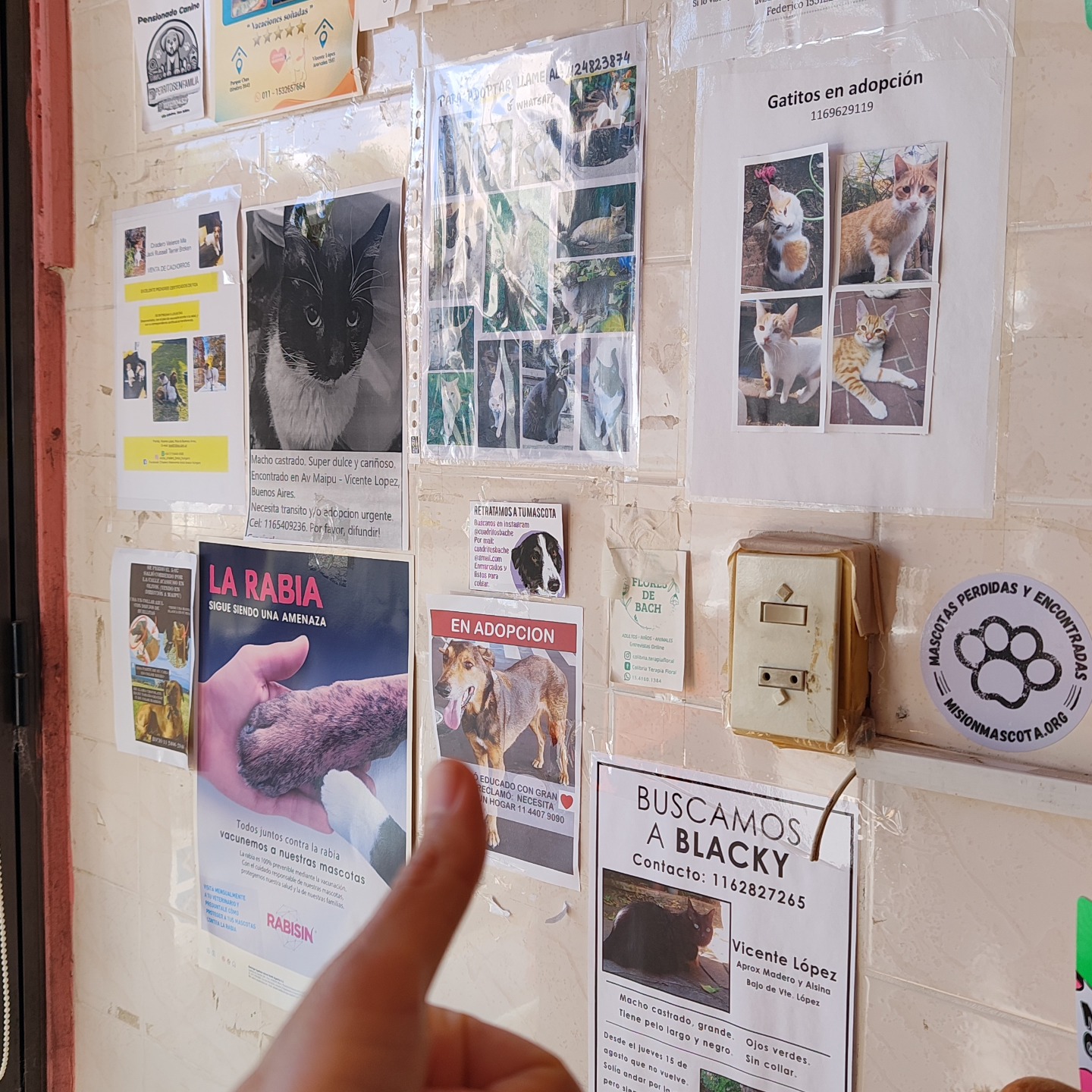 Calco adhesiva Misión Mascota