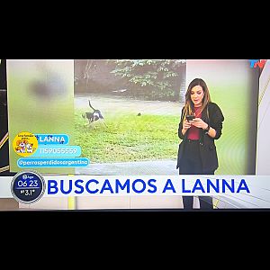 Foto de Mascota Extraviada