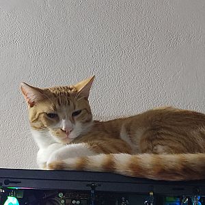 Naranja