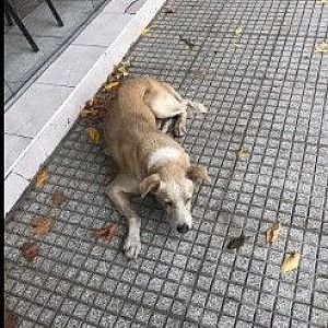 Sin nombre