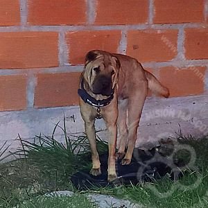 Sin nombre