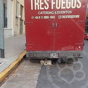 Sin nombre