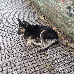 Sin nombre