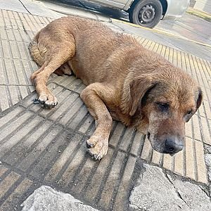Sin nombre