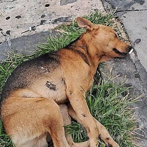 Sin nombre