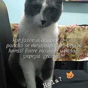 Pancho
