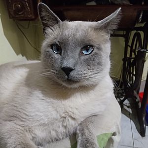 Felipe