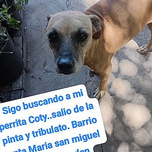 Imagen de COTY