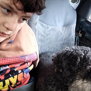Foto de Mascota Extraviada