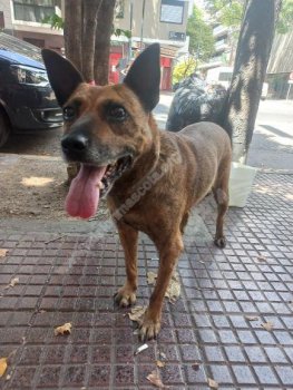 ENC0202ParquePatricios