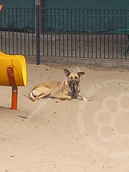 AVIST.VILLAADELINA23-02