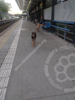 Avist.EstacionFlorida04-03