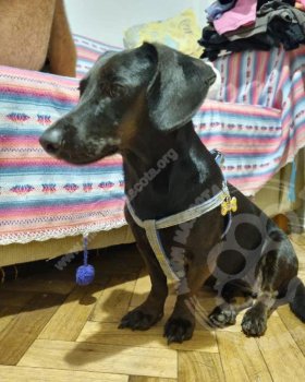 ENC.ESTAC.BERNAL29-02