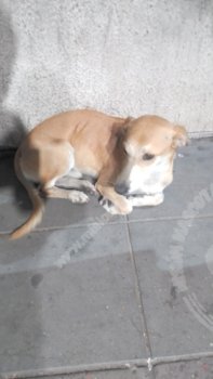 AVIST.BCOPROVINCIALOMAHERMOSA