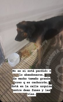 Avist.FloridaOeste06-03