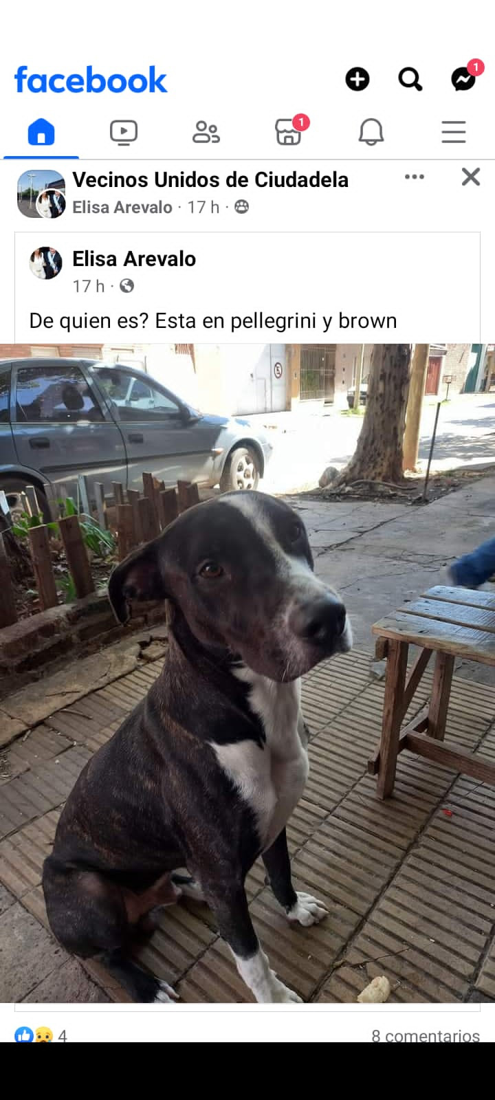 Foto