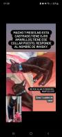 Foto de Mascota Extraviada