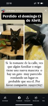 Foto de Mascota Extraviada