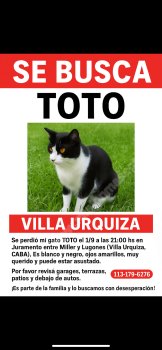 Foto de Mascota Extraviada