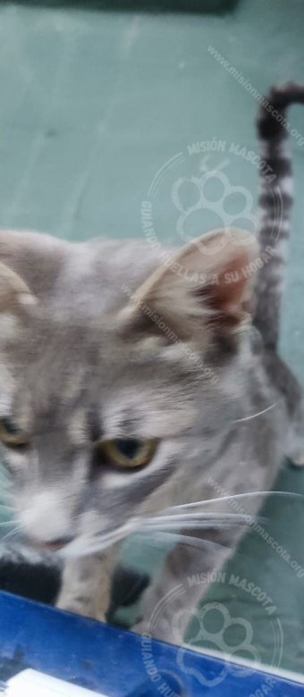 Foto