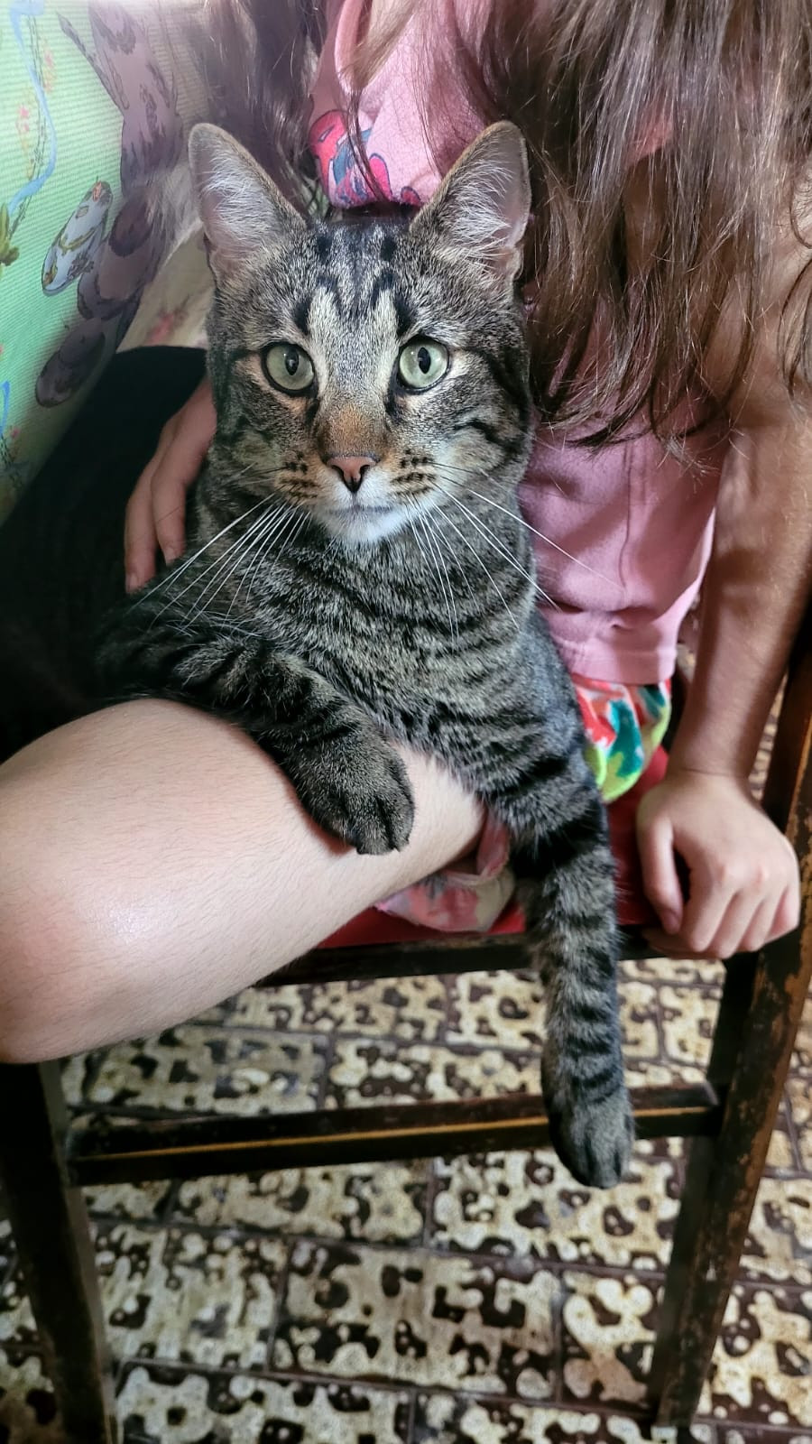 Foto
