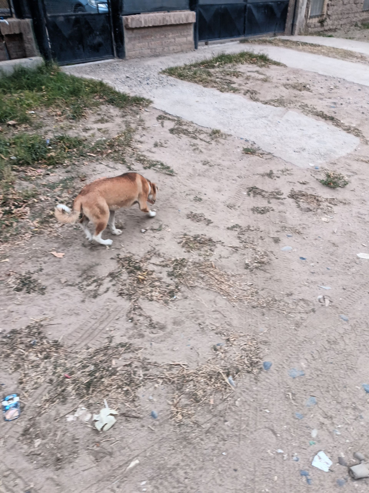 Foto