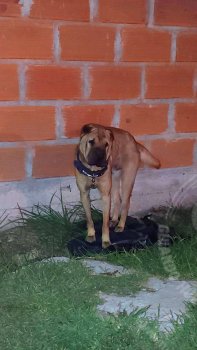 Sin nombre