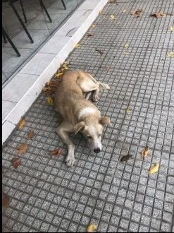 Sin nombre